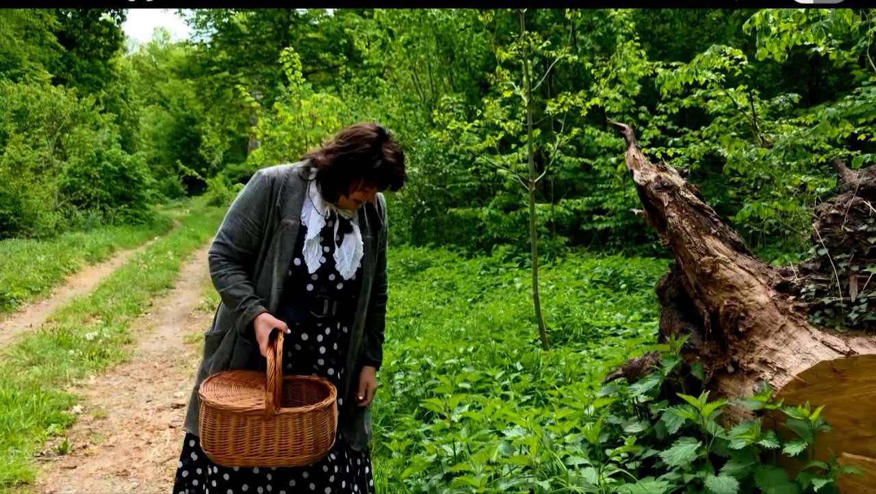 Wildkr�uter-Seminare im Havelland